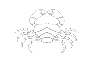 Il Granchio Pizzeria Monza